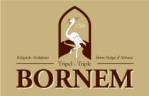 pivo Bornem Tripel 