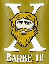 pivo Barbe 10 - Belgian strong Ale