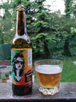 pivo Sandorf Summer Ale 10°