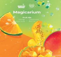 pivo Magicarium - Fruit Ale 14°