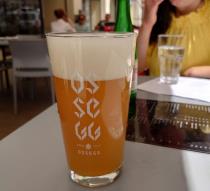 pivo Berliner Weisse – ostružina