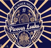 pivo Summer Night - stout 11°