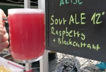pivo Sour Ale Blackcurrant Rasberry 12°