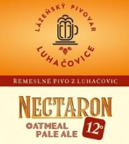 pivo Nectaron Oatmeal Pale Ale 12