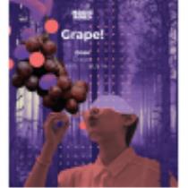 pivo Grape! 14°