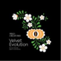 pivo Velvet Evolution (2021)