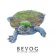 pivo Extinction Is Forever!: Mary River Turtle