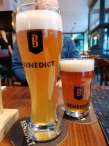 pivo Pšeničné / Weizen 11°