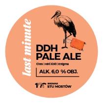 pivo Last Minute - DDH PALE ALE