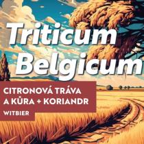 pivo Triticum Belgicum - pšeničné