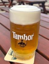 pivo Tambor Summer Ale 11