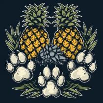 pivo Pinepaw