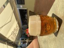 pivo Galant Summer Ale 10°