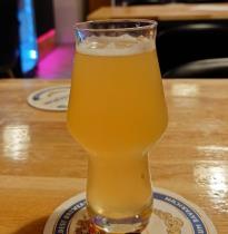 pivo JBM #300: the Experience - Sour