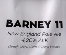 pivo Barney - NEIPA 11°