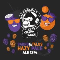 pivo Sabro & Talus Hazy Pale Ale 12°