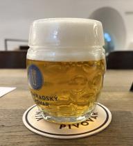 pivo Micro Lager 11°