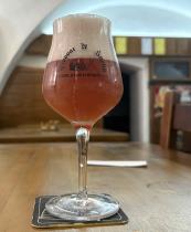 pivo Ostružina 10°