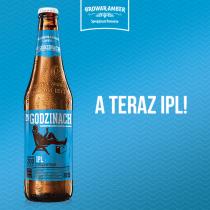 pivo Po Godzinach IPL 12°