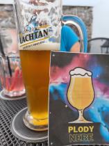 pivo ALE - Plody nebe 14°