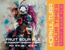 pivo Sour Times 17°