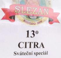 pivo Slezan Sváteční Speciál Citra 13°
