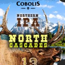 pivo North Cascades 13°