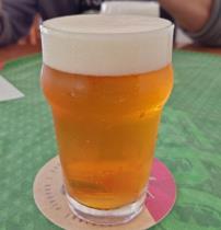 pivo American IPA 14°
