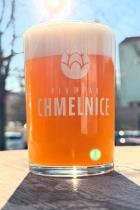 pivo Chmelnická Hazy APA 11°
