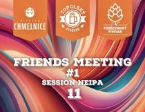 pivo Friends Meeting #1 Session NEIPA 11°