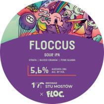 pivo Floccus Sour IPA