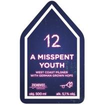 pivo A Misspent Youth 12°