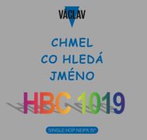 pivo Chmel Co Hledá Jméno HBC-1019
