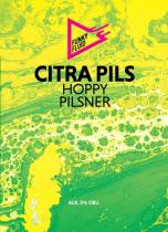 pivo Citra Pils - Světlý ležák 12°