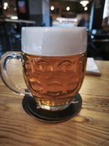 pivo Raven Dry-Hopped Brisbaner 12°