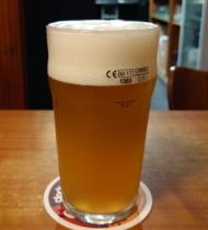 pivo Citra Equanot IPA 13°