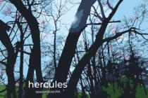 pivo Hercules - Session cold IPA 12° 