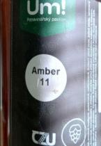 pivo Amber Ale 11°