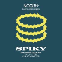 pivo SPIKY Dry-hopped Sour Ale Talus + Citra