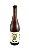 pivo Garp 110 Světlý ležák 11°