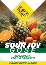 pivo Sour Joy: Pineapple, Calamansi - Gose 9°