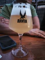 pivo Raven Guava & Lychee Sour 9°