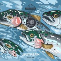 pivo Upstream - Cold IPA