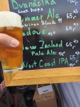 pivo Ogar New Zealand Pale Ale 12°