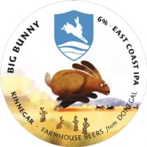 pivo Big Bunny - East Coast IPA