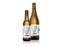 pivo Garp 300 Session IPL 10°