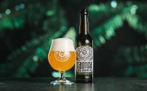 pivo Maisel & Friends Taonga 12,9°