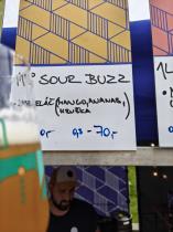 pivo Sour Buzz 11°