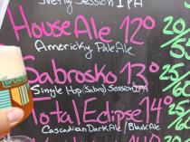 pivo Sabrosko 13°
