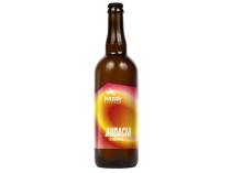 pivo Mazák Audacia Modern IPA 14°